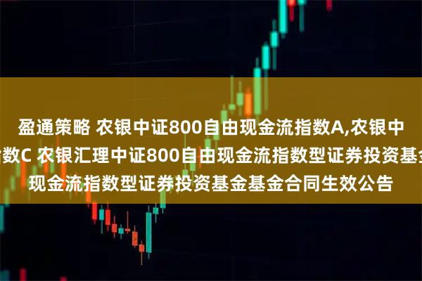 盈通策略 农银中证800自由现金流指数A,农银中证800自由现金流指数C 农银汇理中证800自由现金流指数型证券投资基金基金合同生效公告