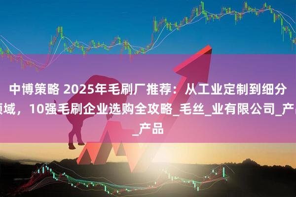 中博策略 2025年毛刷厂推荐：从工业定制到细分领域，10强毛刷企业选购全攻略_毛丝_业有限公司_产品