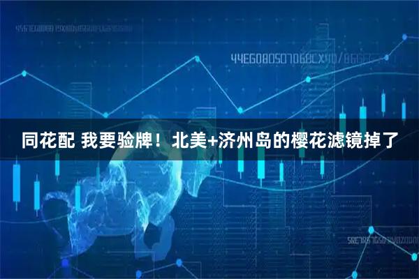 同花配 我要验牌！北美+济州岛的樱花滤镜掉了