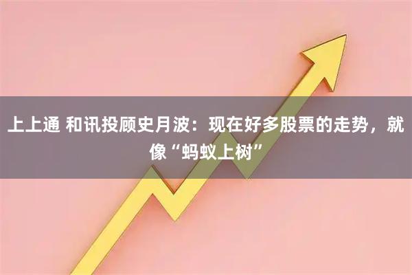 上上通 和讯投顾史月波：现在好多股票的走势，就像“蚂蚁上树”